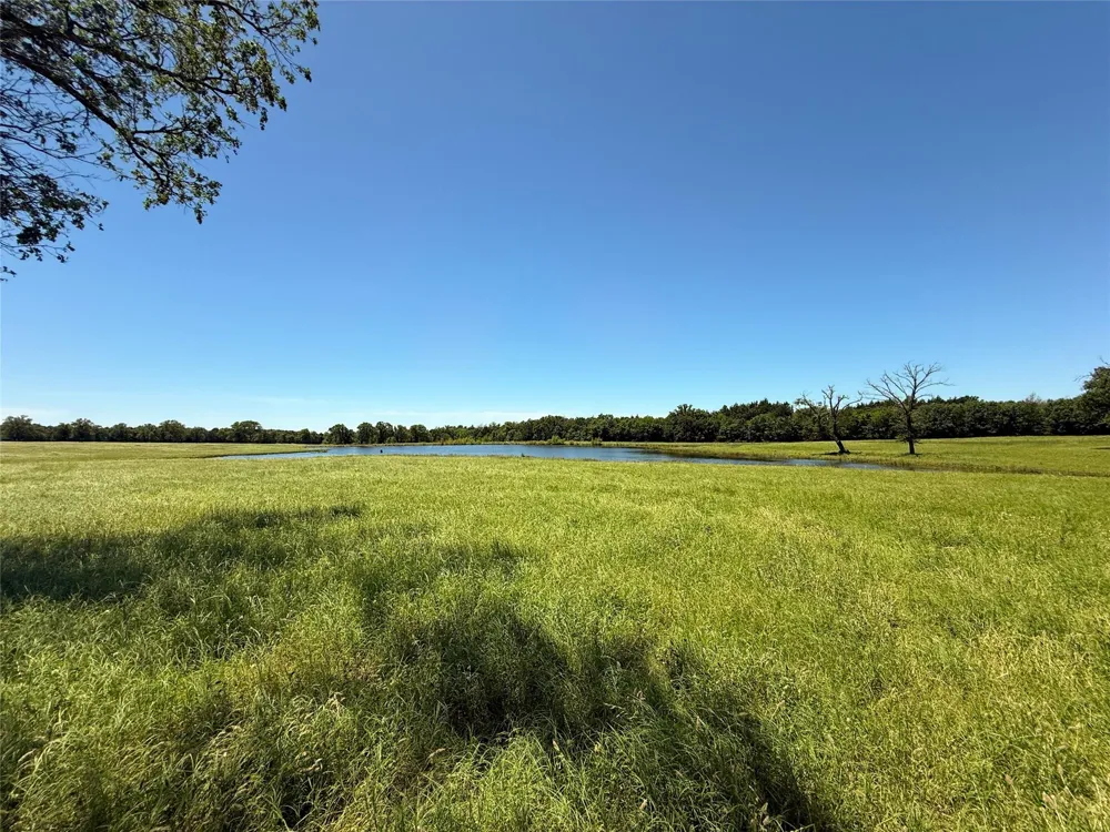35 Fm 2547 Fairfield, TX 75840