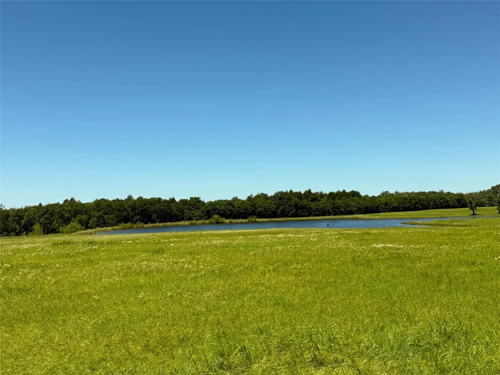 35 Fm 2547 Fairfield, TX 75840