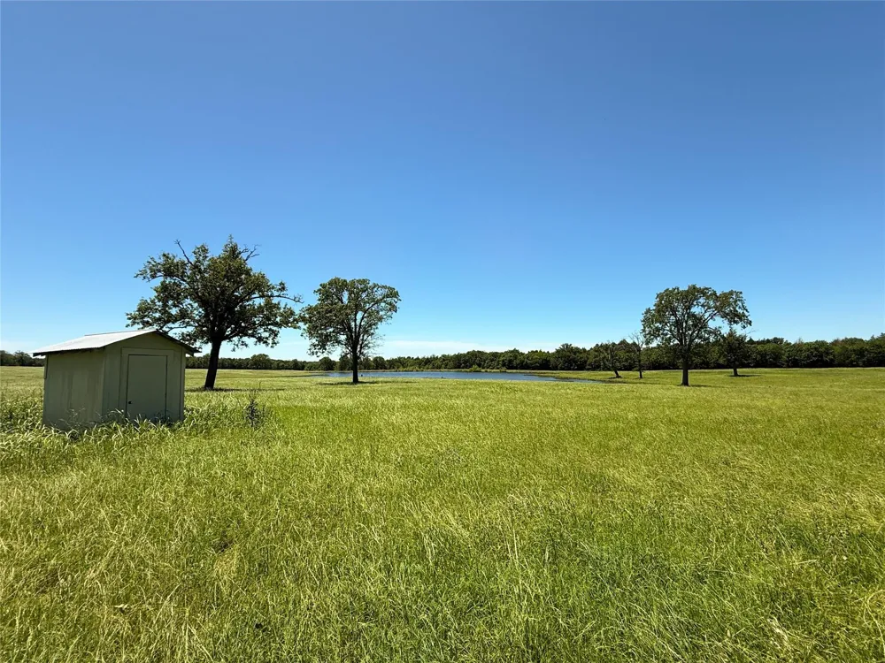 35 Fm 2547 Fairfield, TX 75840