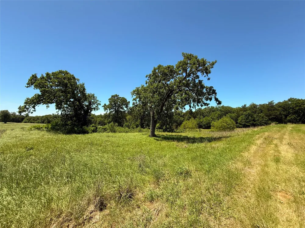 35 Fm 2547 Fairfield, TX 75840