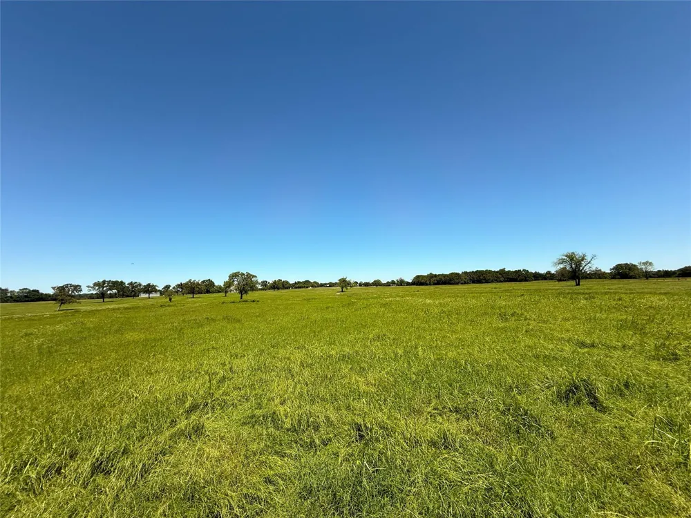 35 Fm 2547 Fairfield, TX 75840
