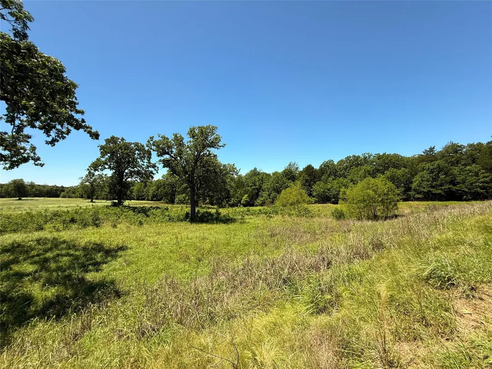35 Fm 2547 Fairfield, TX 75840