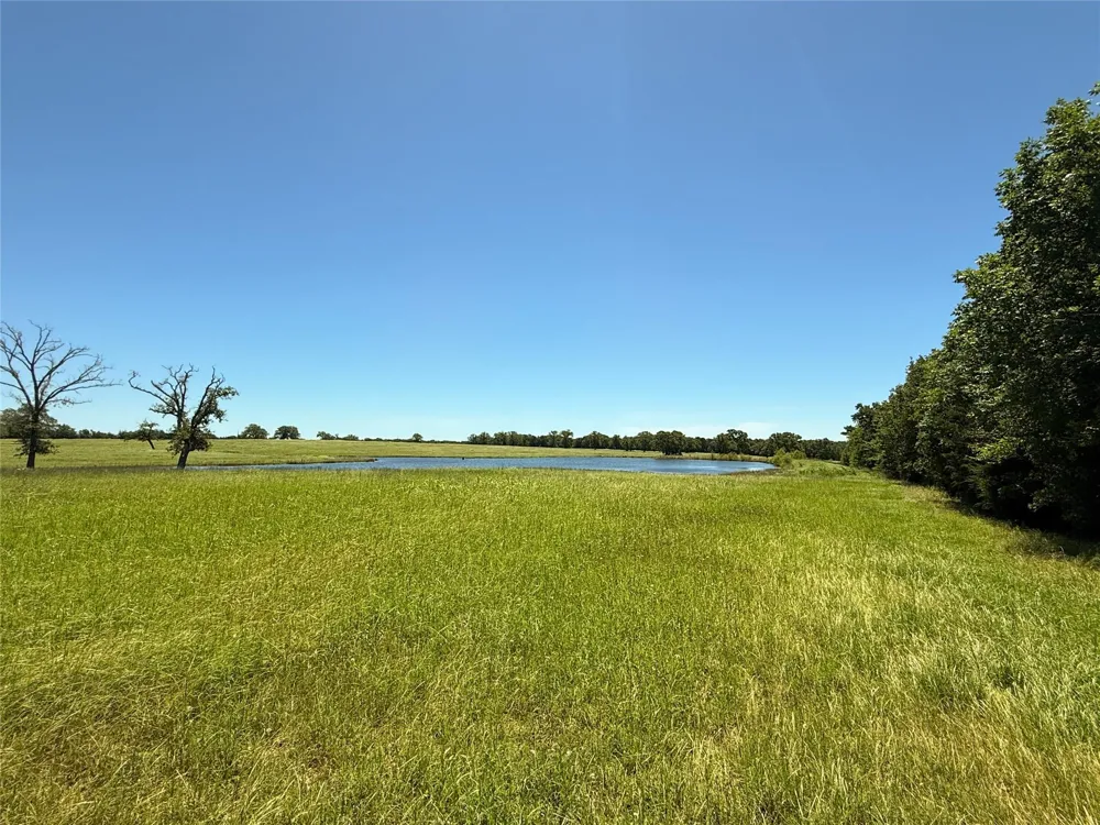 35 Fm 2547 Fairfield, TX 75840