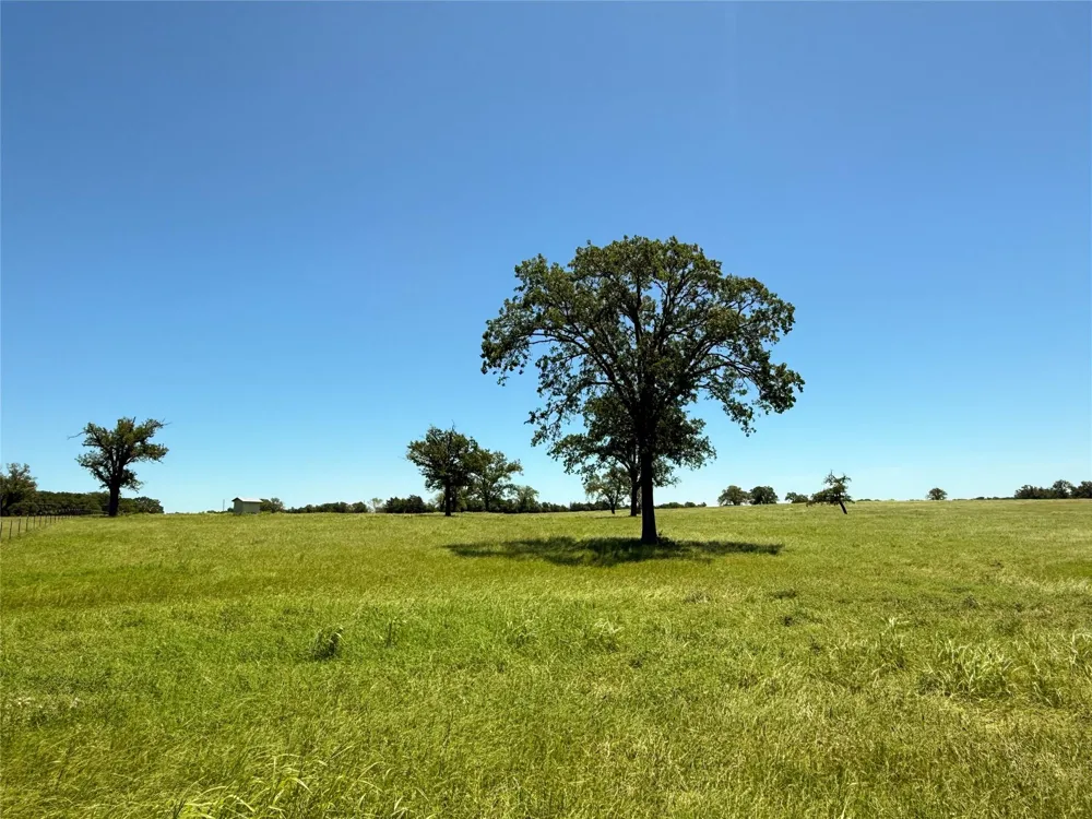 35 Fm 2547 Fairfield, TX 75840