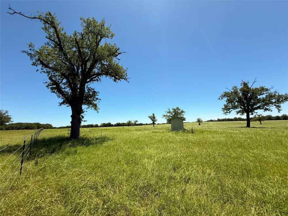 35 Fm 2547 Fairfield, TX 75840