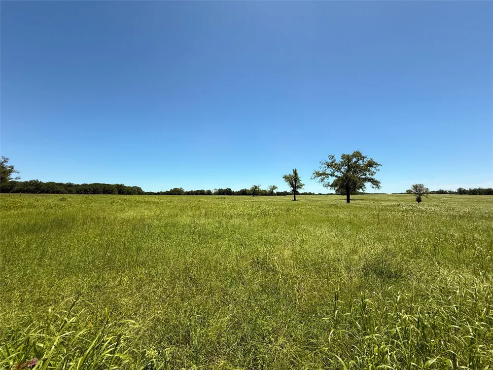 35 Fm 2547 Fairfield, TX 75840