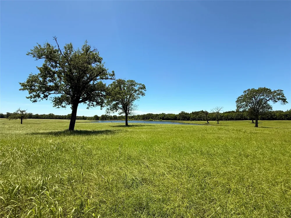 35 Fm 2547 Fairfield, TX 75840