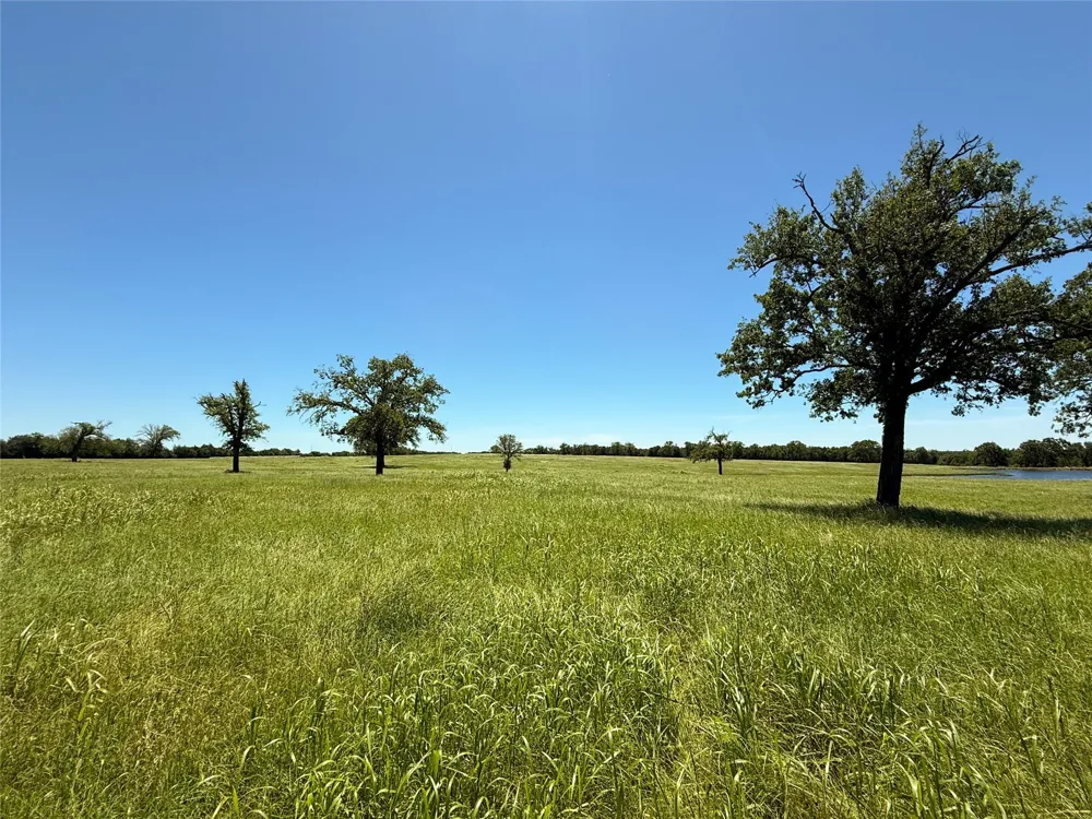 35 Fm 2547 Fairfield, TX 75840