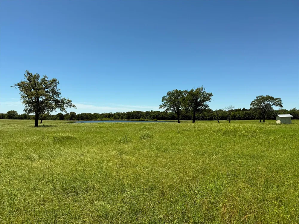 35 Fm 2547 Fairfield, TX 75840