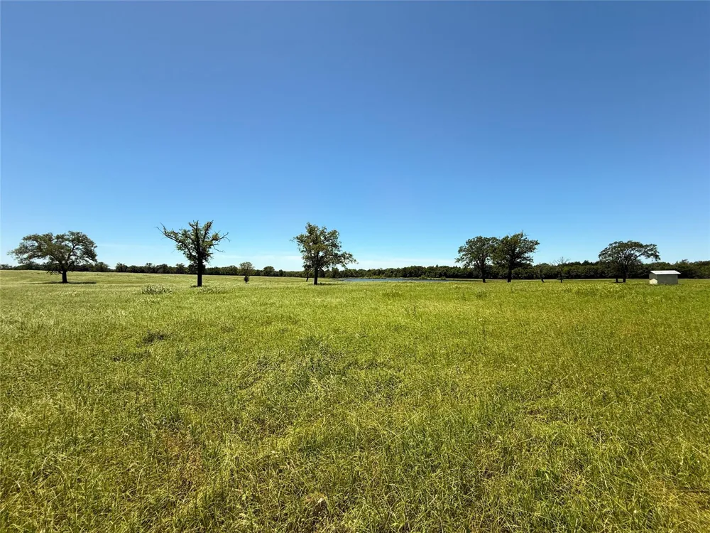 35 Fm 2547 Fairfield, TX 75840