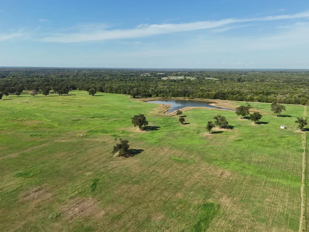 35 Fm 2547 Fairfield, TX 75840