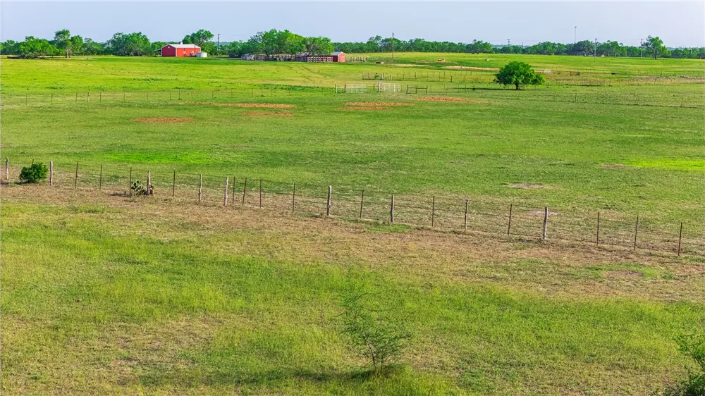 FM 534 & FM 3162 Sandia, TX 78383