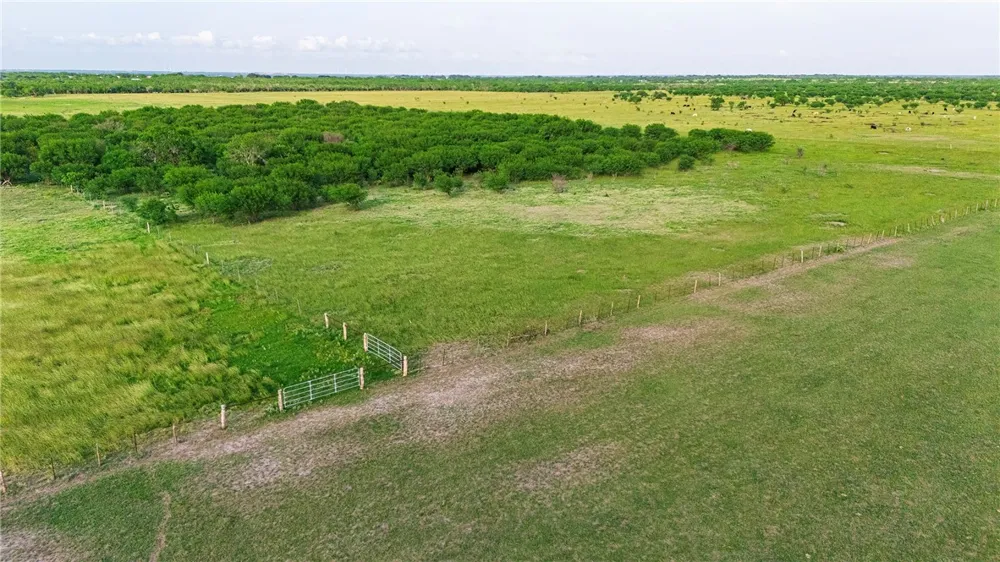 FM 534 & FM 3162 Sandia, TX 78383
