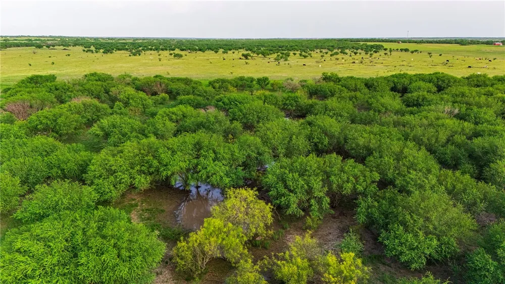 FM 534 & FM 3162 Sandia, TX 78383