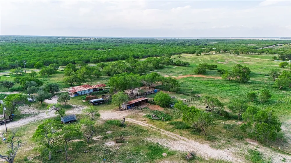 FM 534 & FM 3162 Sandia, TX 78383