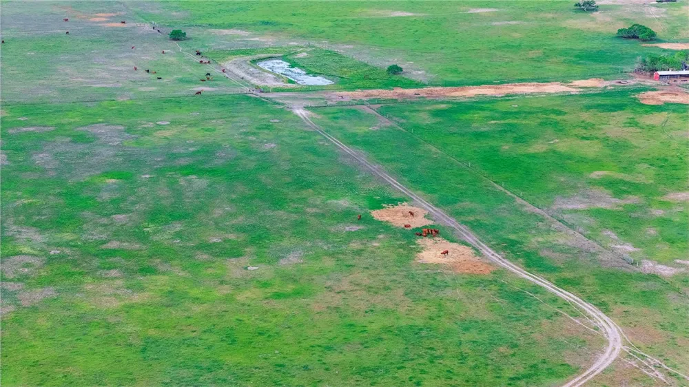 FM 534 & FM 3162 Sandia, TX 78383