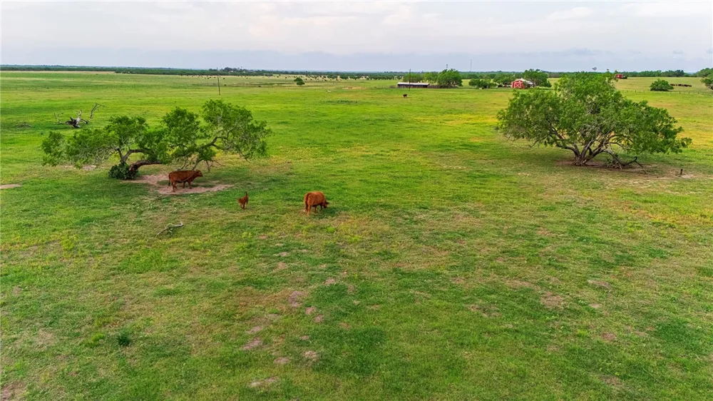 FM 534 & FM 3162 Sandia, TX 78383