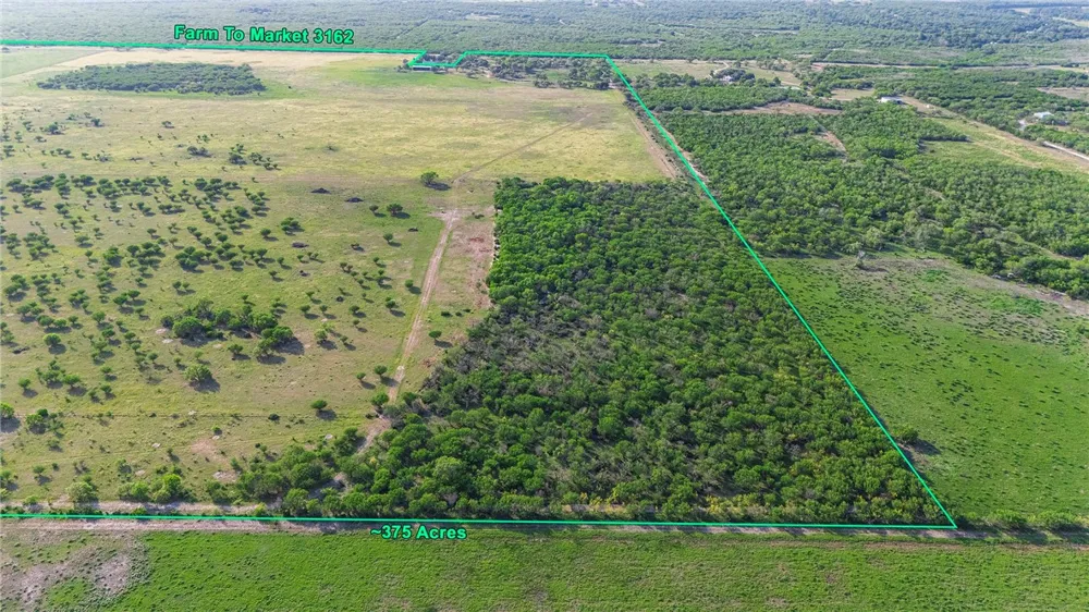 FM 534 & FM 3162 Sandia, TX 78383