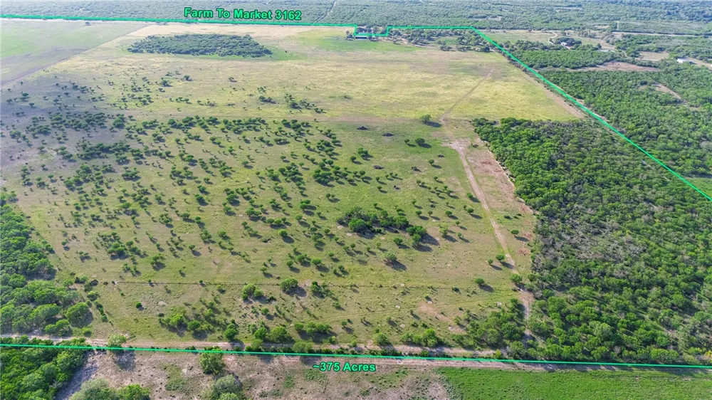 FM 534 & FM 3162 Sandia, TX 78383