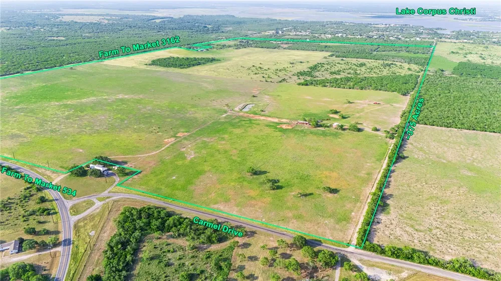 FM 534 & FM 3162 Sandia, TX 78383
