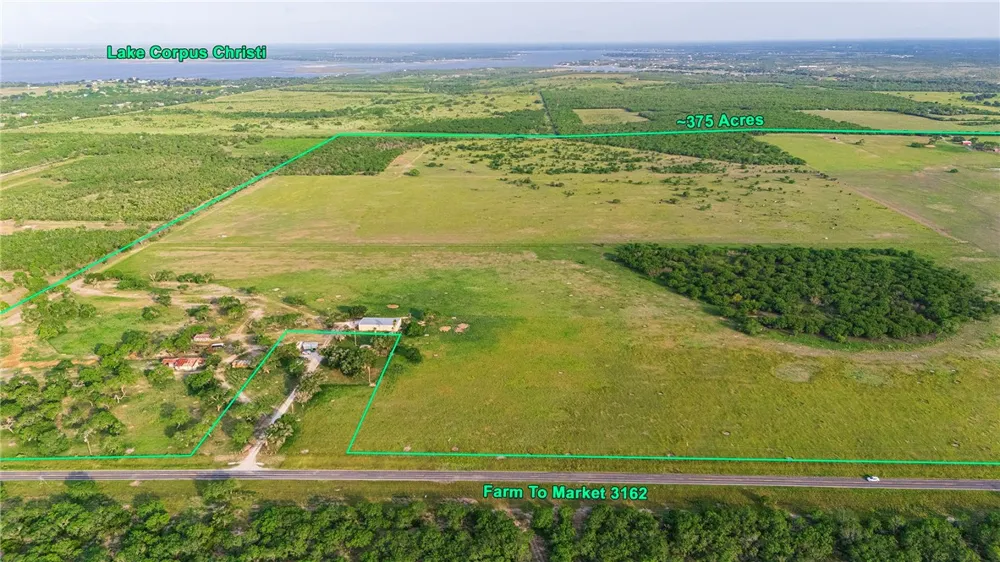 FM 534 & FM 3162 Sandia, TX 78383