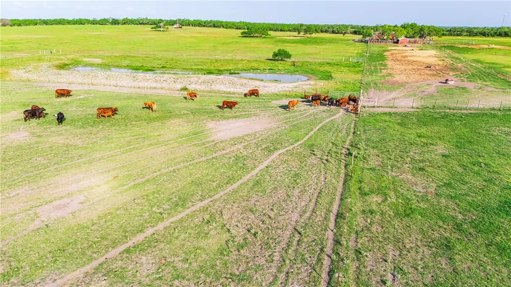FM 534 & FM 3162 Sandia, TX 78383