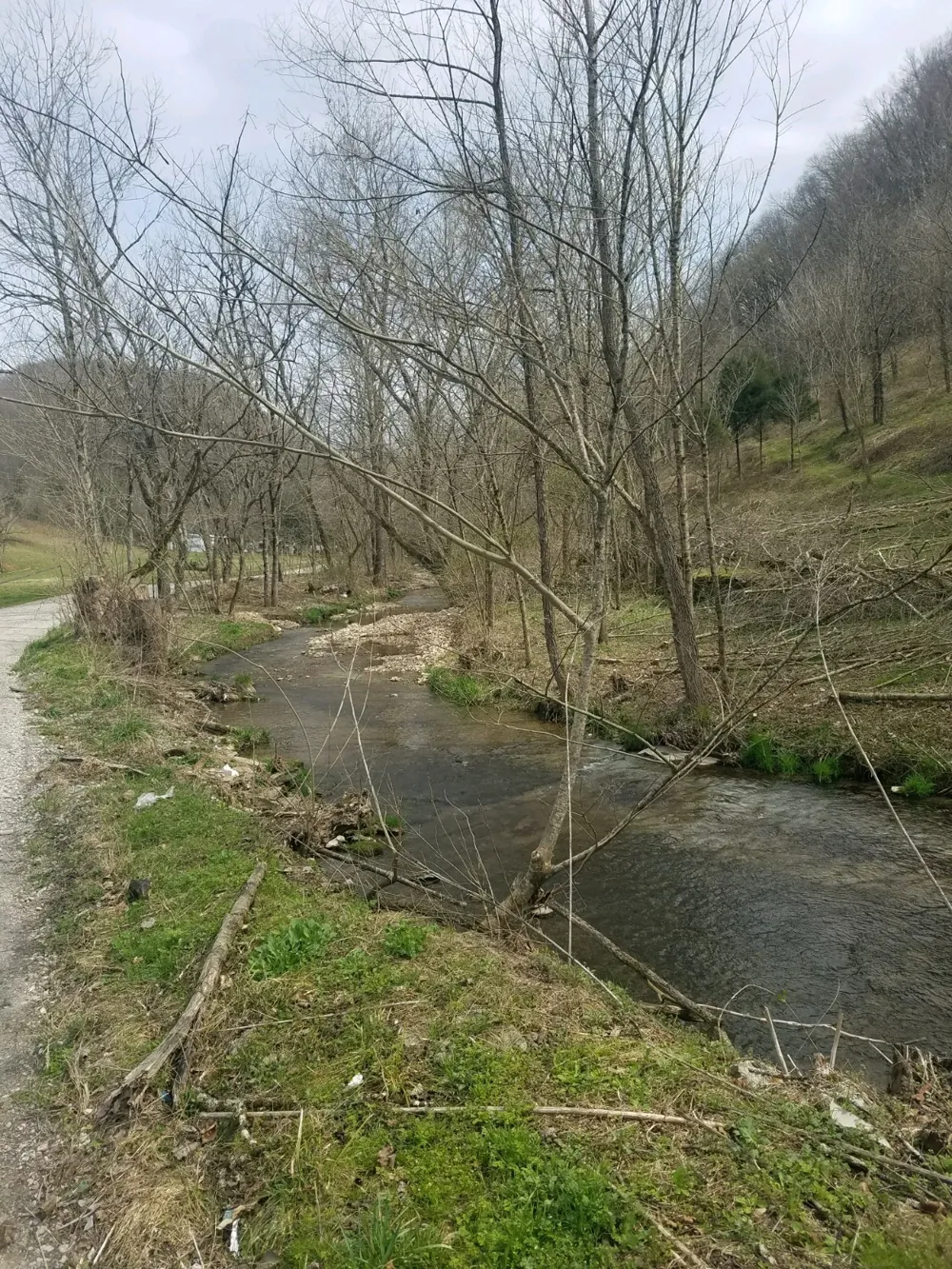 662 Wilmore Hollow Rd Pleasant Shade, TN 37145