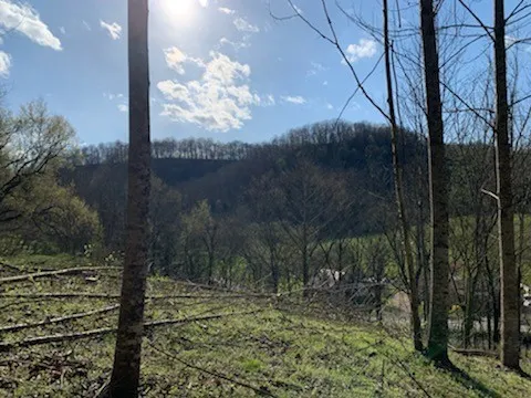 662 Wilmore Hollow Rd Pleasant Shade, TN 37145