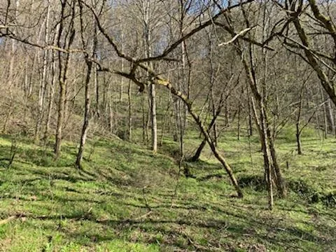 662 Wilmore Hollow Rd Pleasant Shade, TN 37145