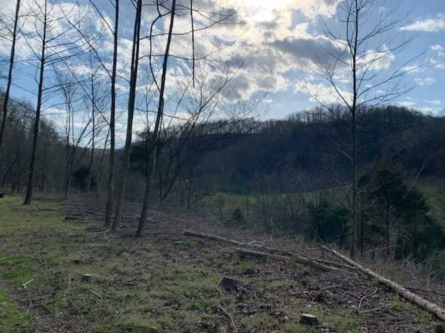 662 Wilmore Hollow Rd Pleasant Shade, TN 37145