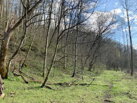 662 Wilmore Hollow Rd Pleasant Shade, TN 37145