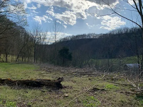 662 Wilmore Hollow Rd Pleasant Shade, TN 37145