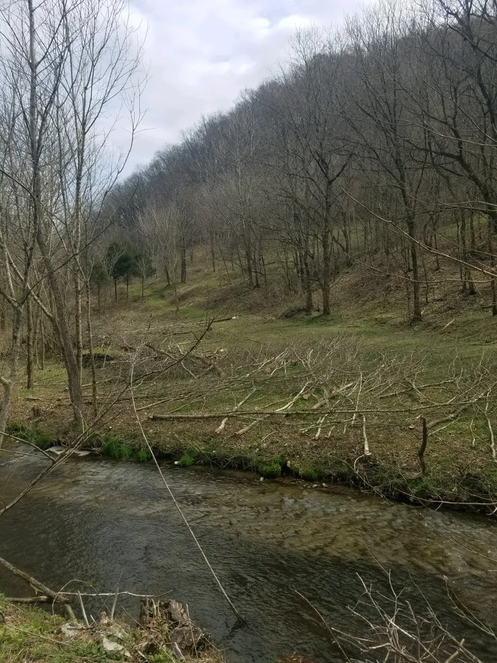 662 Wilmore Hollow Rd Pleasant Shade, TN 37145