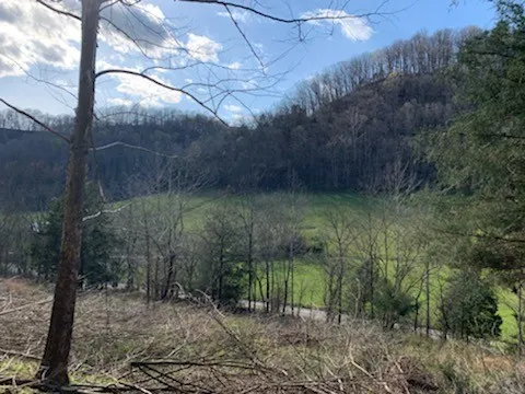 662 Wilmore Hollow Rd Pleasant Shade, TN 37145