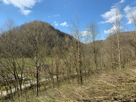 662 Wilmore Hollow Rd Pleasant Shade, TN 37145