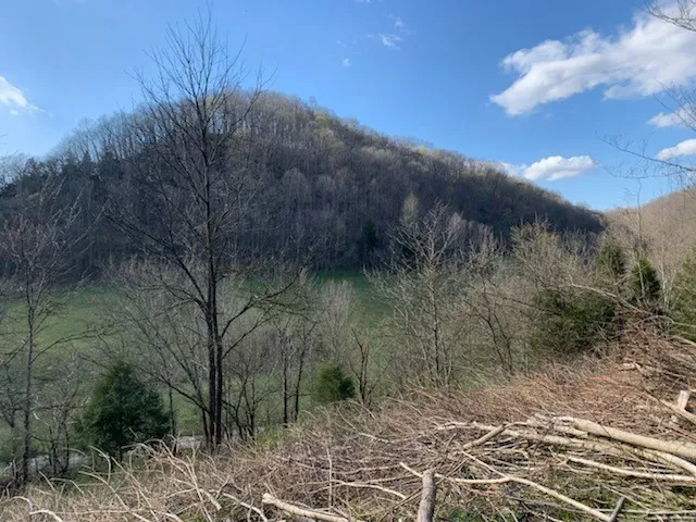 662 Wilmore Hollow Rd Pleasant Shade, TN 37145