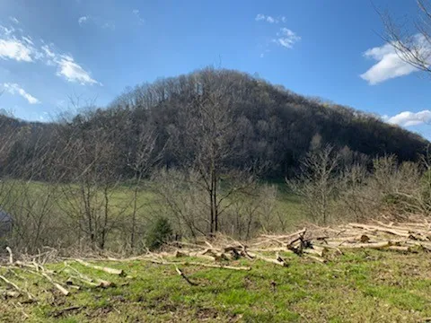 662 Wilmore Hollow Rd Pleasant Shade, TN 37145