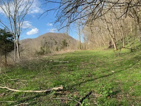 662 Wilmore Hollow Rd Pleasant Shade, TN 37145