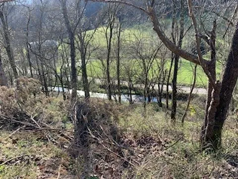 662 Wilmore Hollow Rd Pleasant Shade, TN 37145
