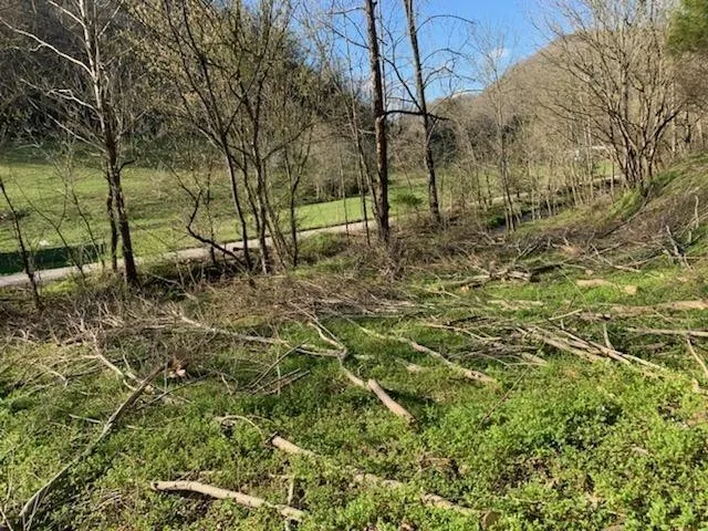 662 Wilmore Hollow Rd Pleasant Shade, TN 37145