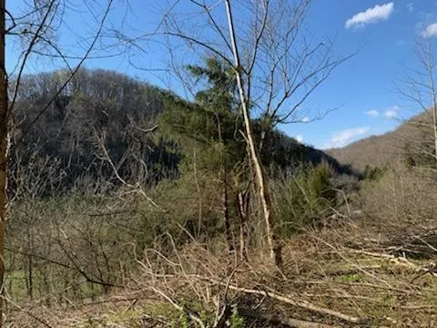 662 Wilmore Hollow Rd Pleasant Shade, TN 37145