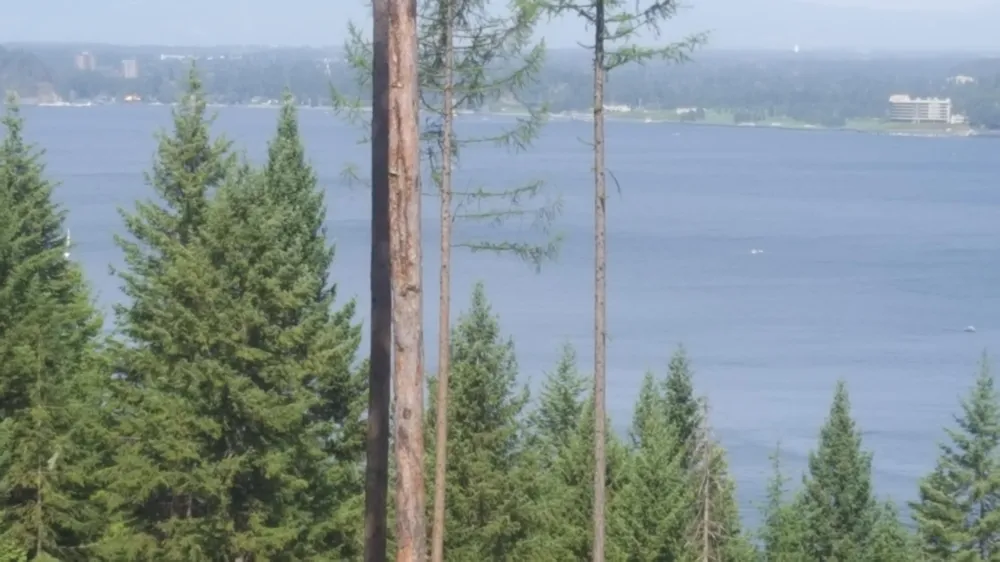 Lot 13 LISA ROAD Harrison, ID 83833