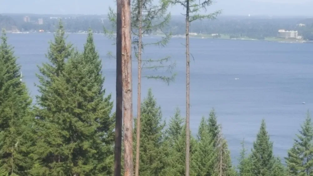 Lot 13 LISA ROAD Harrison, ID 83833