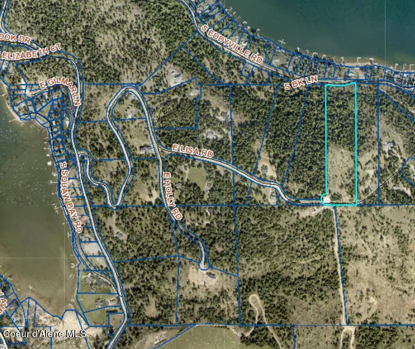 Lot 13 LISA ROAD Harrison, ID 83833