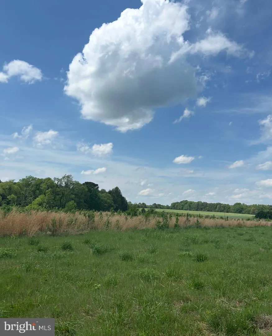 KINGS HWY Montross, VA 22520