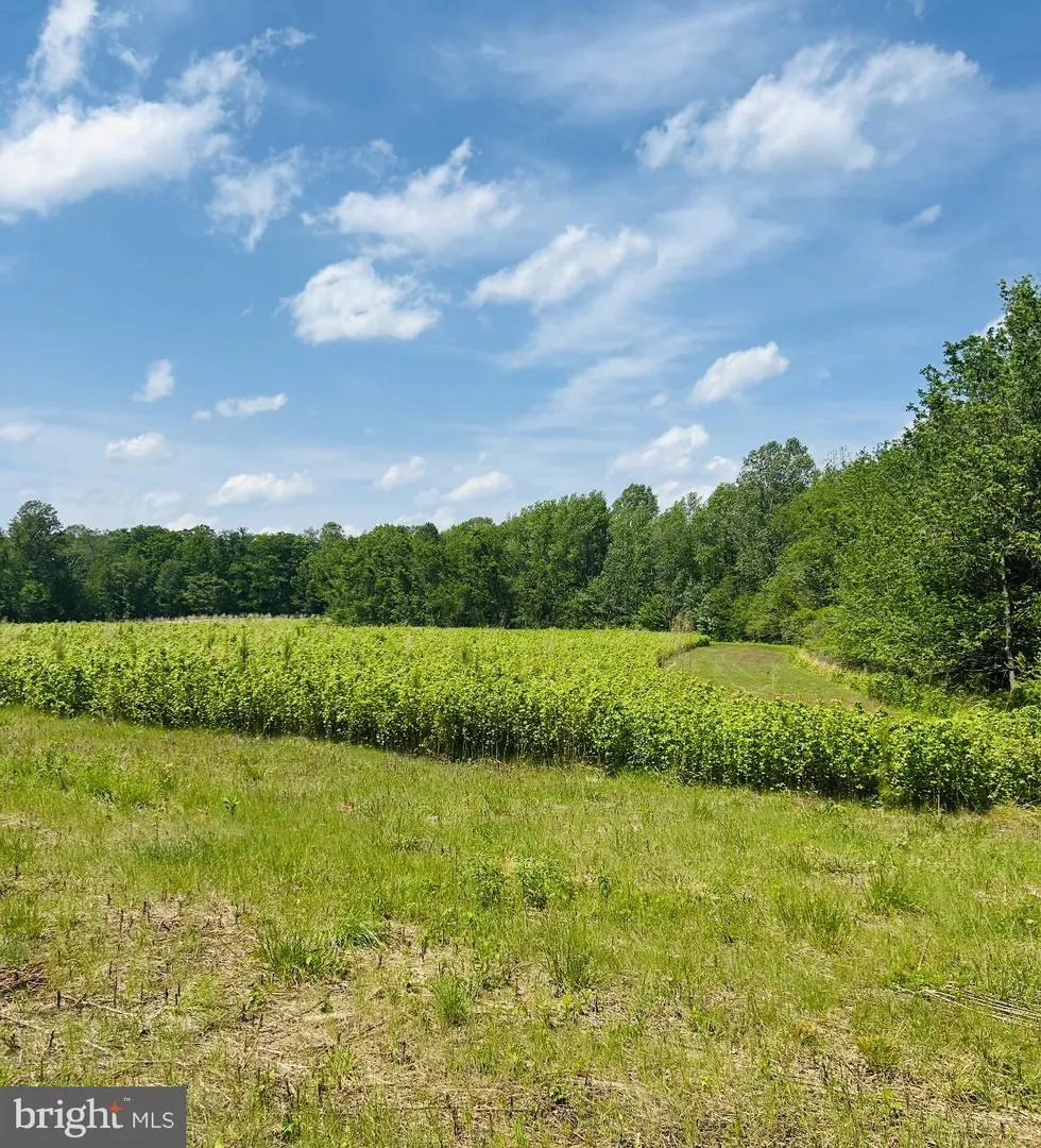 KINGS HWY Montross, VA 22520