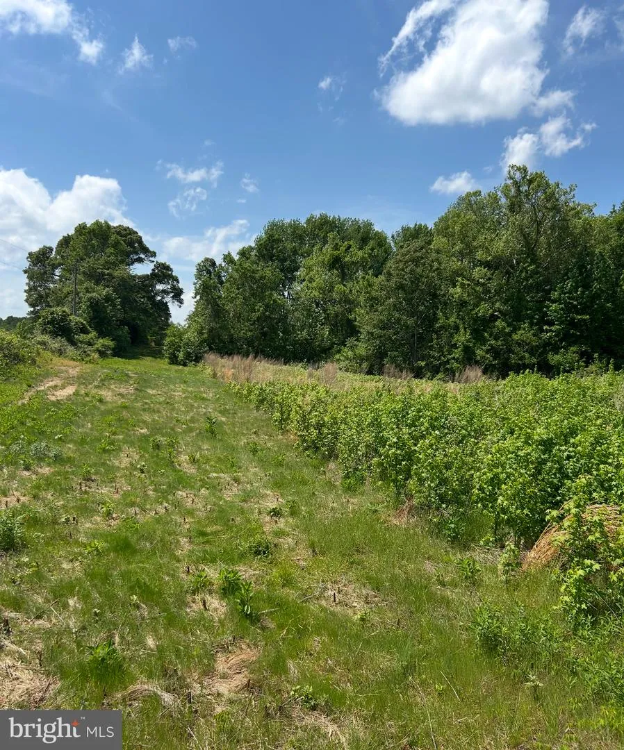 KINGS HWY Montross, VA 22520