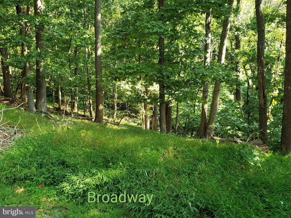 STECHER COURT Linden, VA 22642