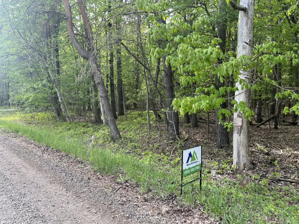 Mortimer Line Road Croswell, MI 48422