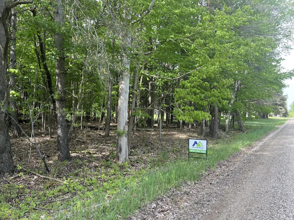 Mortimer Line Road Croswell, MI 48422